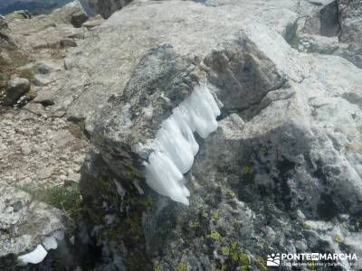 Maliciosa - Sierra de los Porrones [Serie Clásica] senderismo niños madrid mochilas lisas de march